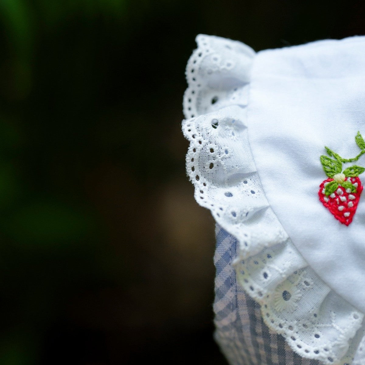 Blue Gingham Strawberry Embroidered Collar Dress, (12M–5T)