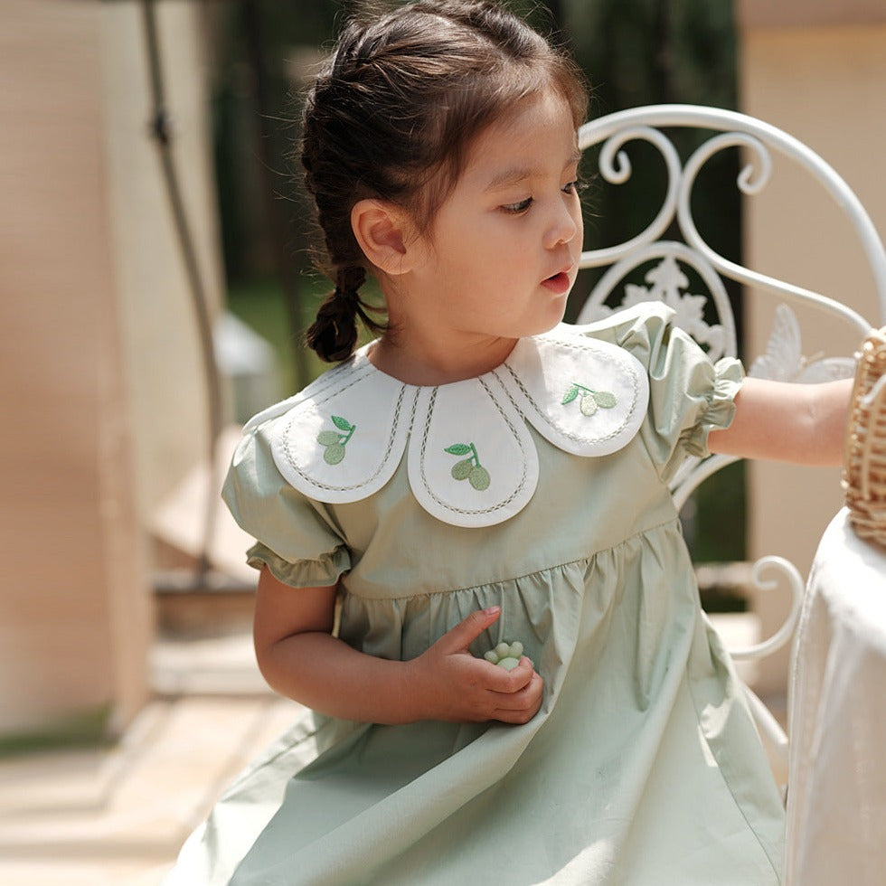 Light Green Embroidered Petal Collar Dress,12M to 6T.