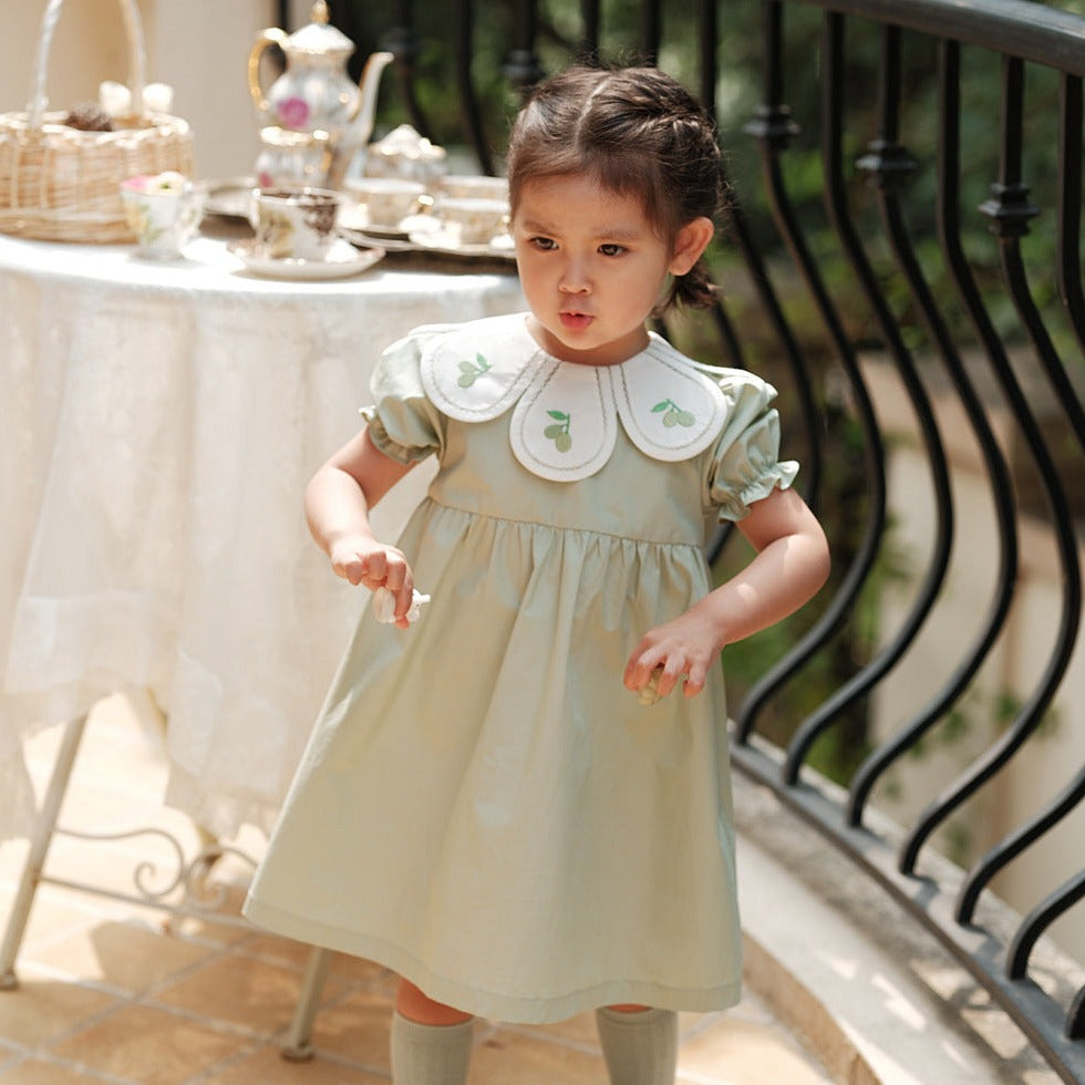 Light Green Embroidered Petal Collar Dress,12M to 6T.