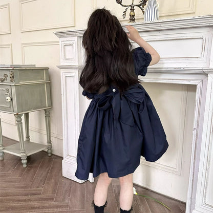 Stunning Dark Blue Embroidered Dress,
