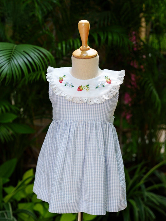 Blue Gingham Strawberry Embroidered Collar Dress, (12M–5T)