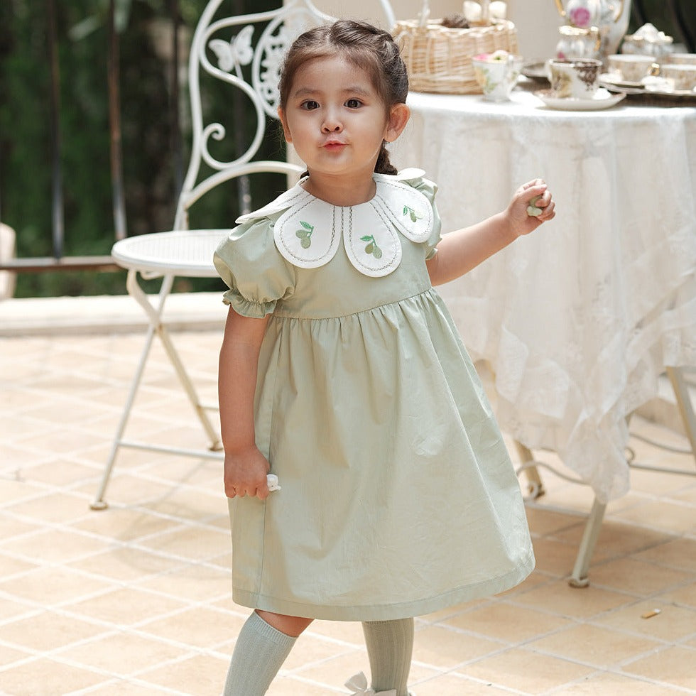 Light Green Embroidered Petal Collar Dress,12M to 6T.