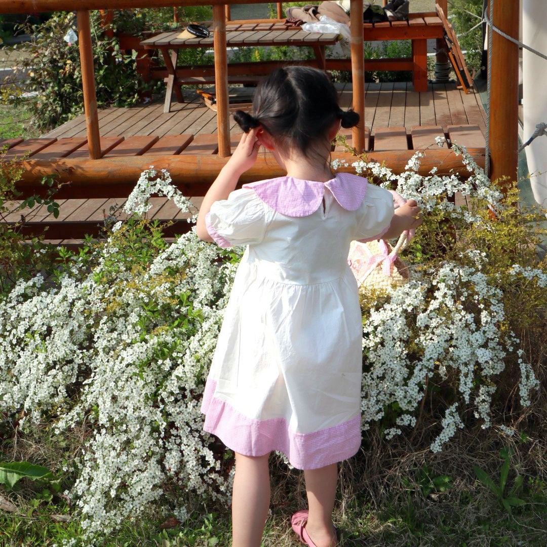Peter Pan Collar Embroidered Dress,2T to 8T.