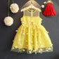Sleeveless Birthday Party Dress, Red/Yellow,Size 18M to 2Y