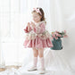 Beautiful Velvet Dress,Red/Pink,12M to 6T.