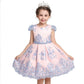 Stunning Pink & Blue Dress With Embroidery,4T to 10T.