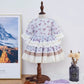 Stunning 2Pc Layered Dress,12M to 6T.