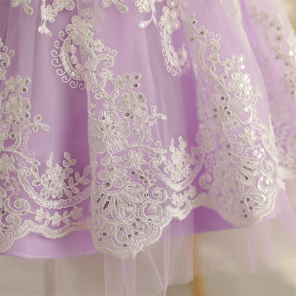 High Detailed Embroidered Dresses,Pink/Purple,12M to 5T.