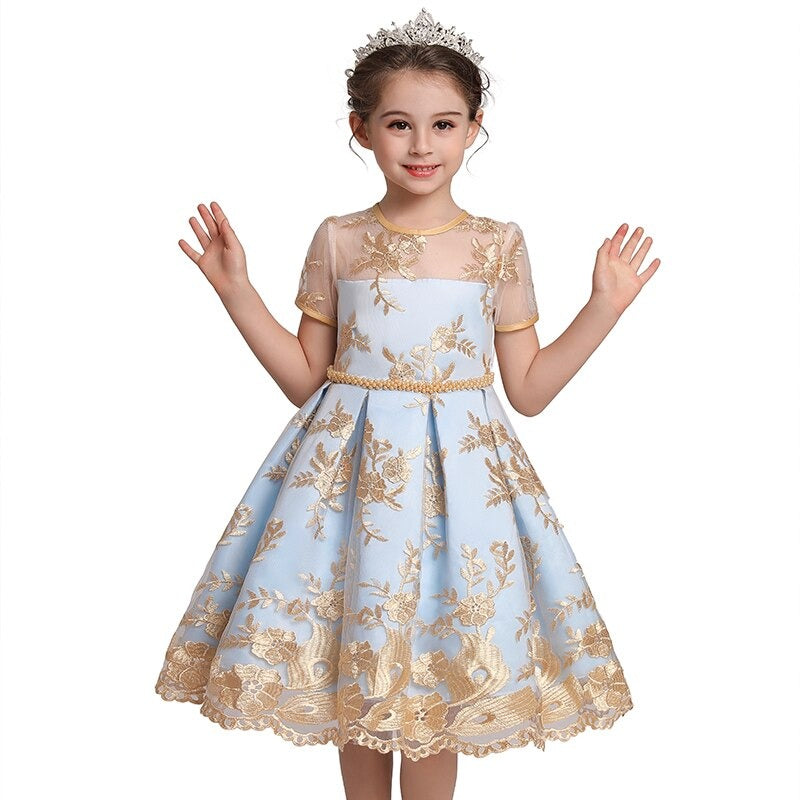 Stunning Party Embroidered Dress,4T to 10T.